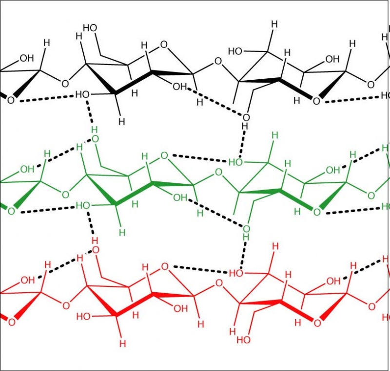 polysacharidy